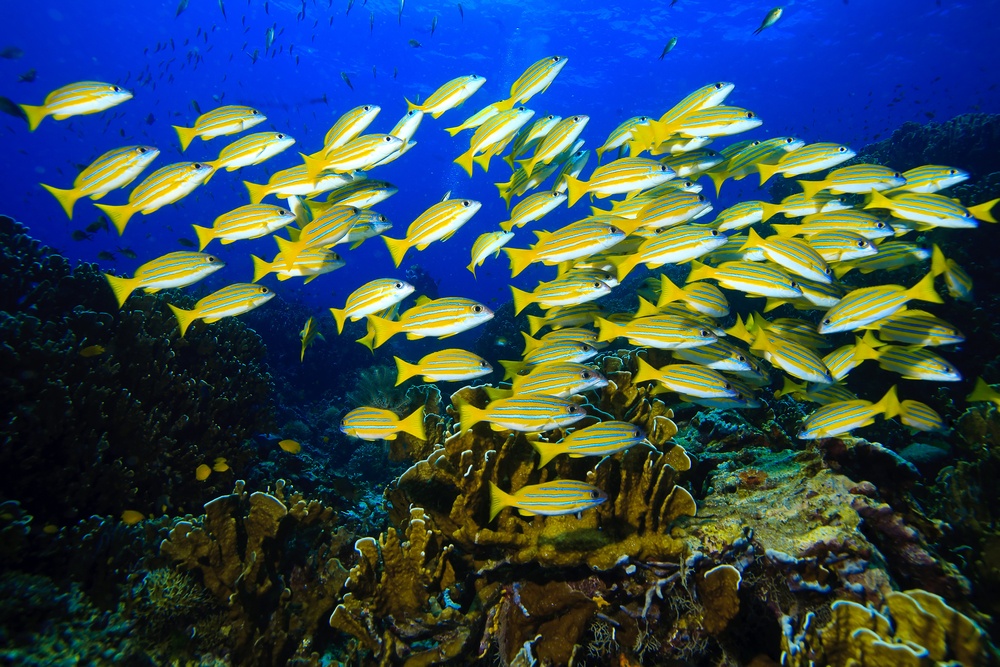 Avoid the Stock Photo Cliché