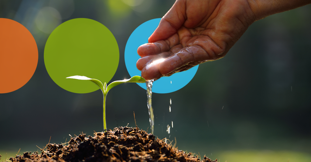 How to Build a Future-focused Leadership Development Program